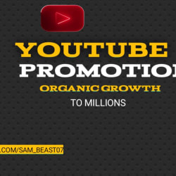 Organic Youtube Promotion