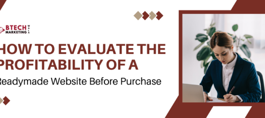 Profitability of a Readymade Website